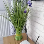 Perla - Sloneczne Tarasy * Dziwnówek