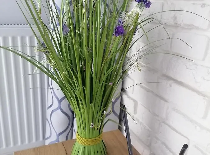 Perla - Sloneczne Tarasy * دجيفنوفيك