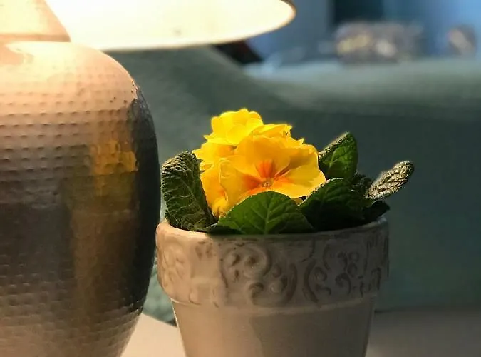 شقة Perla - Sloneczne Tarasy دجيفنوفيك